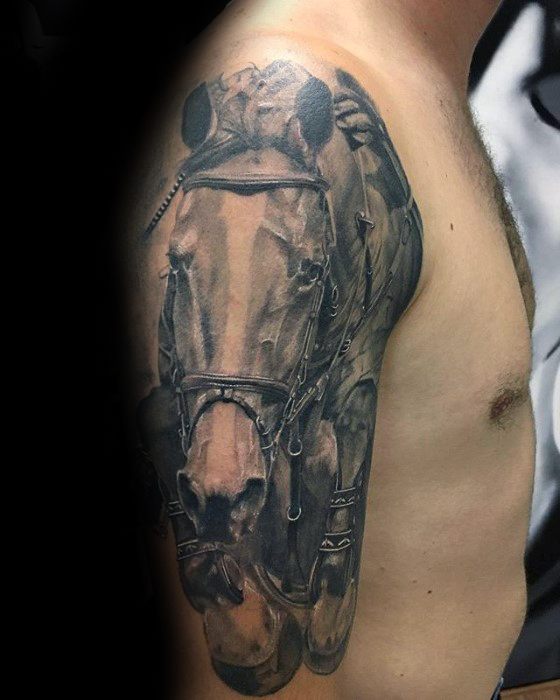 Explore the 50 Best Horse Tattoo Ideas 2019  Tattoodo