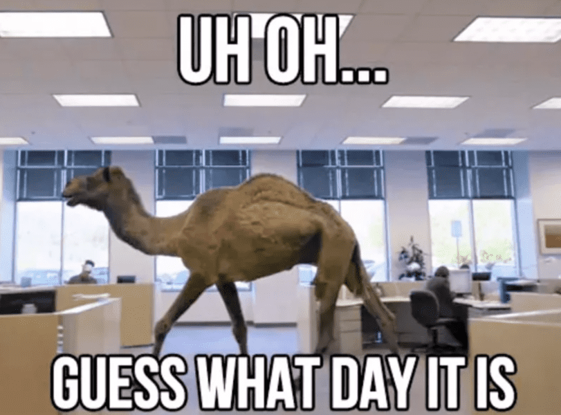 30 Funny Hump Day Memes To Get You Through The Week Next Luxury 