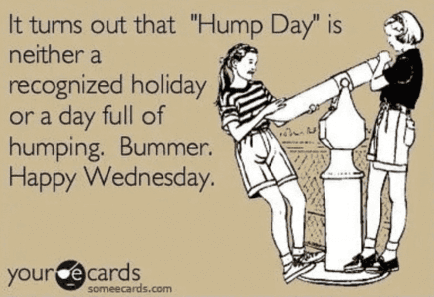 hump-day-memes-24
