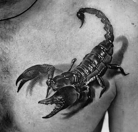 Hyper Realistic 3d Scorpion Mens Chest Tattoos