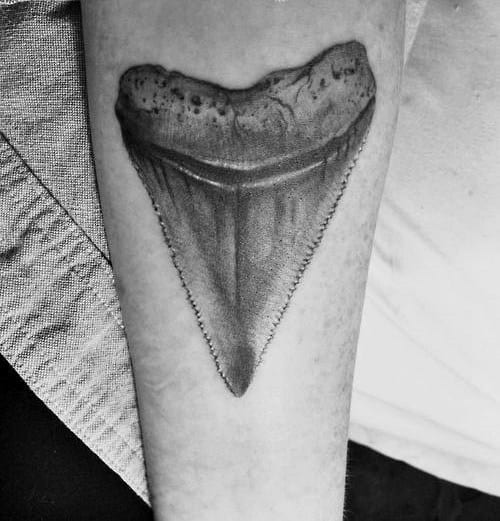 shark tooth tattooTikTok Search