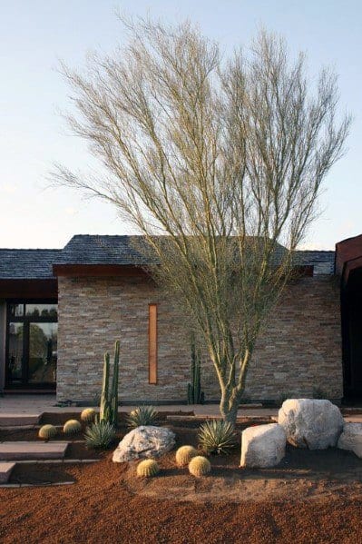 spares backyard with large boulders and cactus plants 