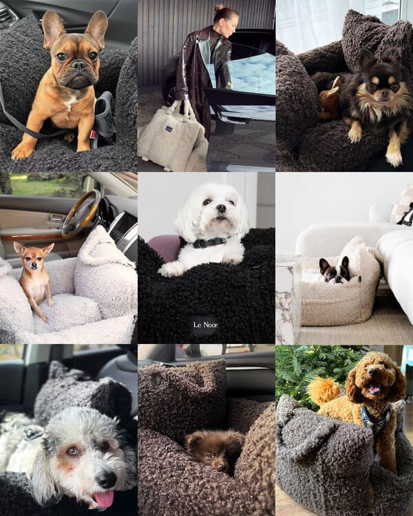 Collage of dogs lounging in plush car seats and beds, shown in cars or at home, with a woman holding a coordinating bag