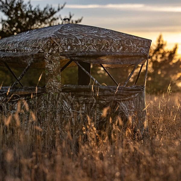 What to Pack for a Rainy Countryside Food Trip