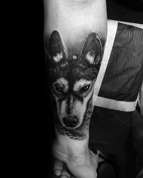 Impressive Male Siberian Husky Tattoo Designs