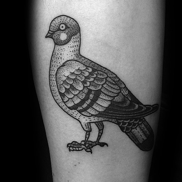 Incredible Pigeon Tattoos For Men