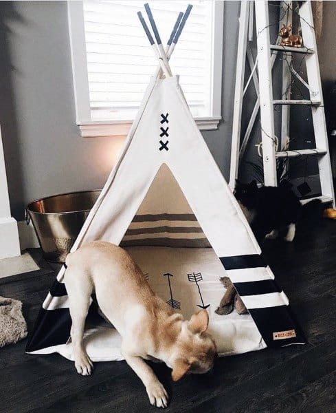 teepee dog hut 