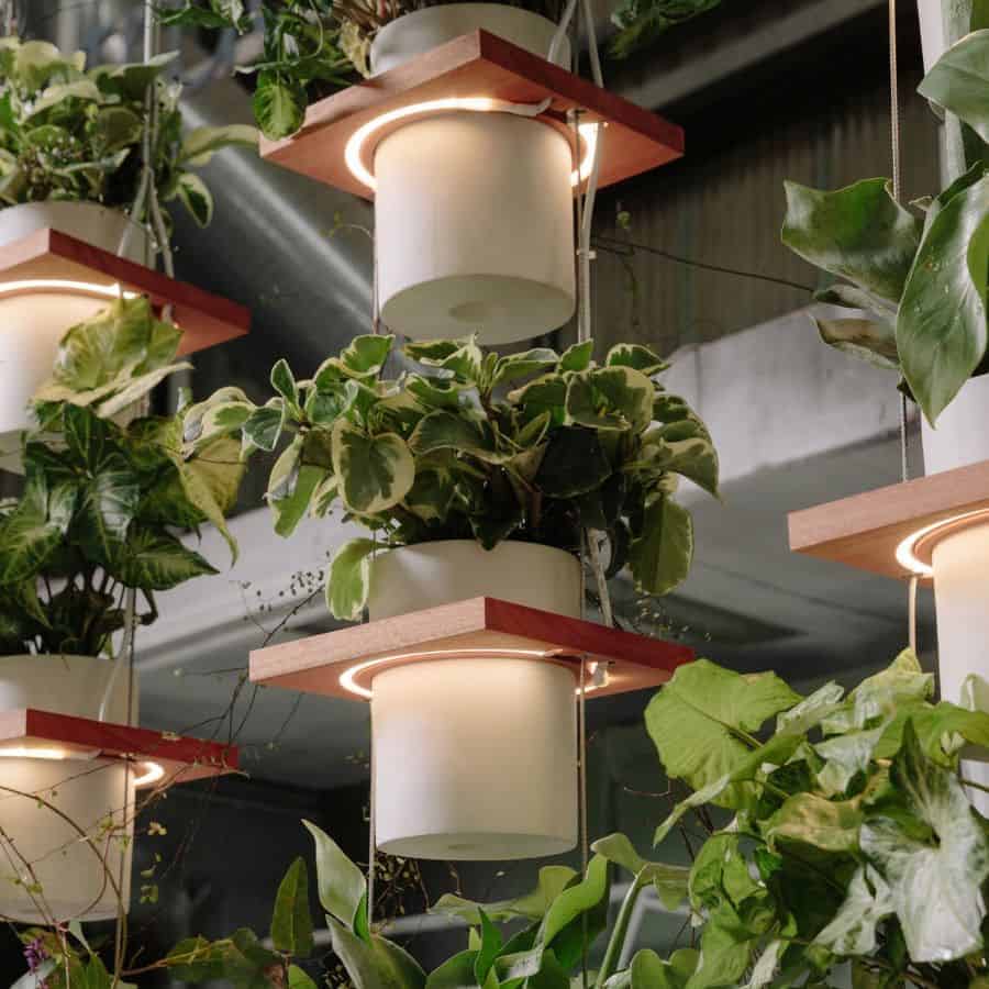 indoor vertical garden planter pots