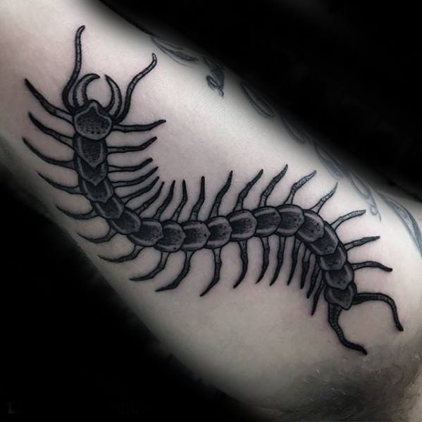 50 Centipede Tattoo Designs For Men Insect Ink Ideas