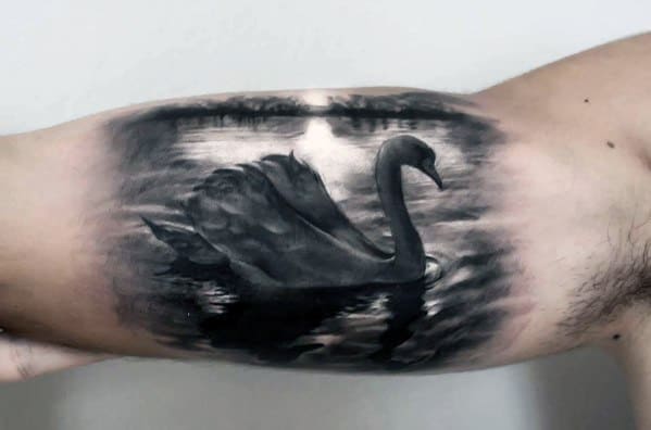 Two swans tattoo - Tattoogrid.net