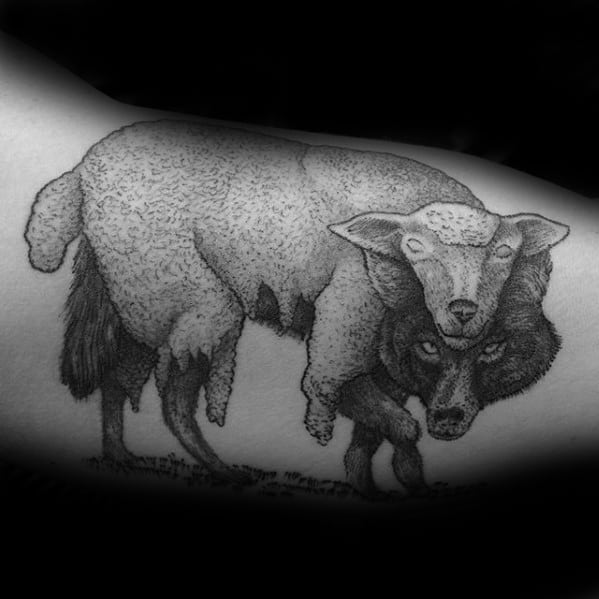 Inner Arm Bicep Wolf In Sheeps Clothing Mens Tattoo Designs