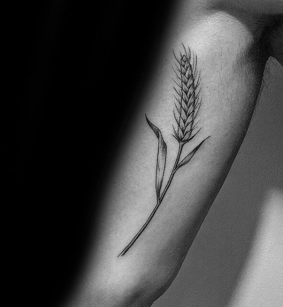 Inner Arm Male Wheat Tattoos
