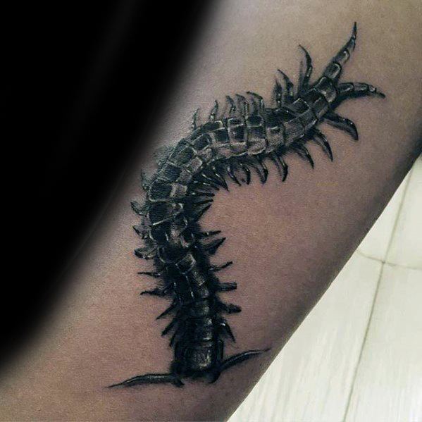 131 Unique Centipede Tattoos With Incredible Visuals