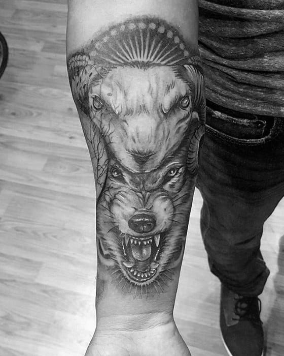 Inner Forearm Heavily Shaded Male Wolf In Sheeps Clothing Tattoo Designs