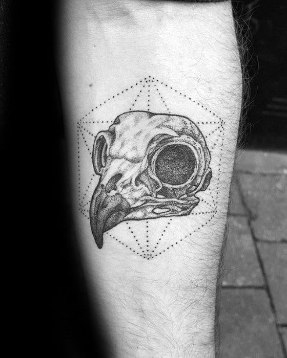 Inner Forearm Mens Owl Skull Tattoo Ideas