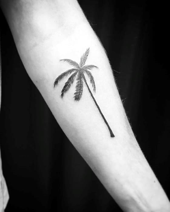 Inner Forearm Simple Mens Palm Tree Tattoo Inspiration