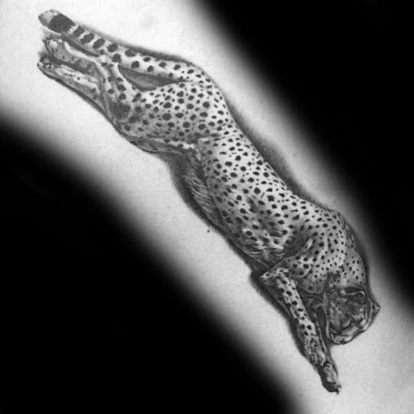Cheetah next to some healed script, thank u again Olivia ✨ #tattoo #tattoos  #tattooapprentice #apprenticetattoer #femaletattooartist ... | Instagram