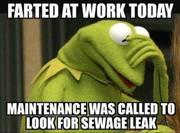 Hilarious Kermit The Frog Memes Laptrinhx News