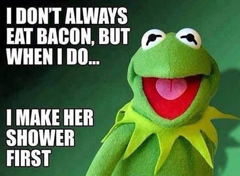 Kermit the Frog Memes That Will Brighten Your Day