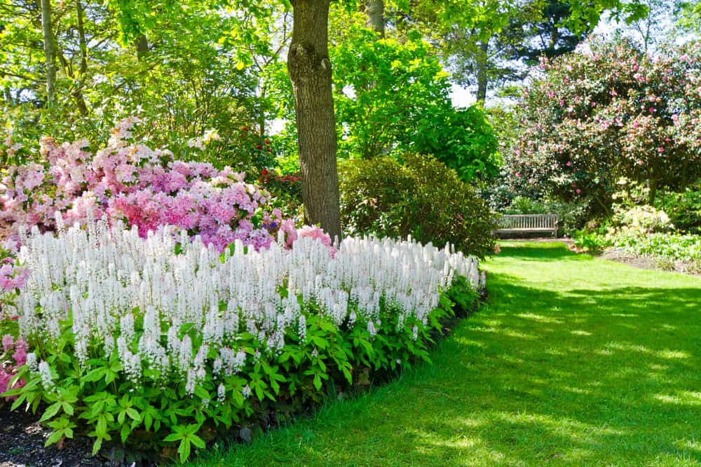 landscaped colorful garden 