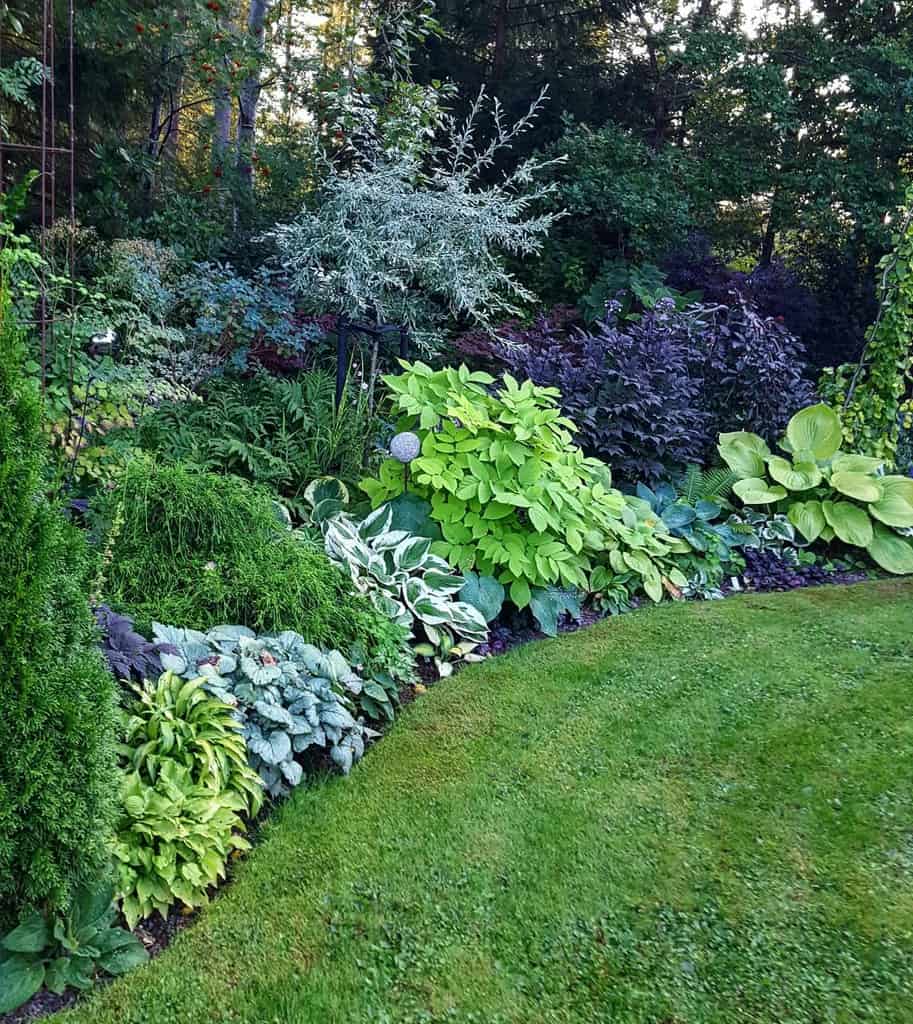 landscaped shade garden with front lawn 