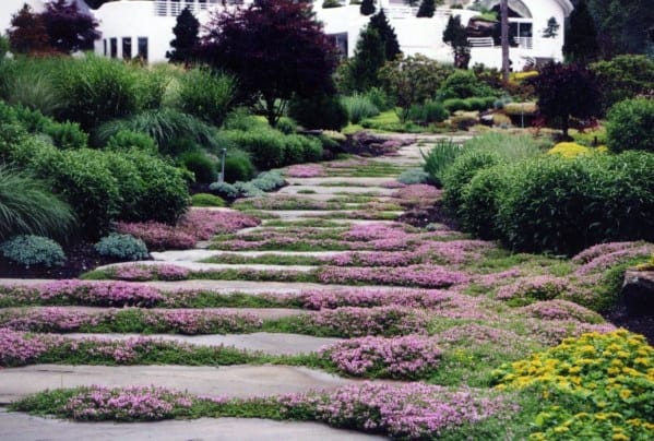 Landscaping Flowers Stone Walkway Ideas