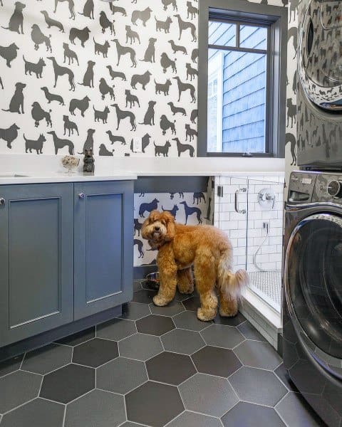 Laundry Room Dog Room With Washing Station Design Ideas