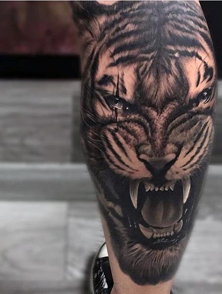 Leg Calf Tiger Half Sleeve Tattoo On Men