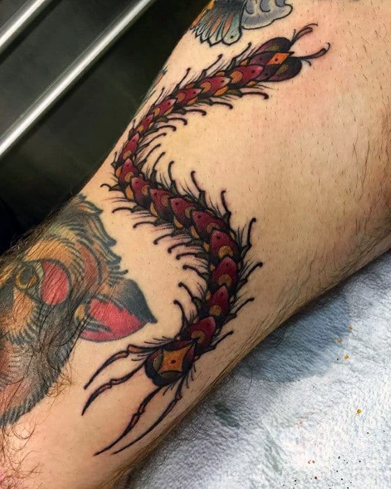 50 Centipede Tattoo Designs For Men - Insect Ink Ideas