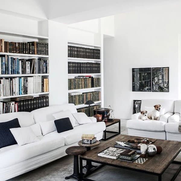 large bookcase and couch living space