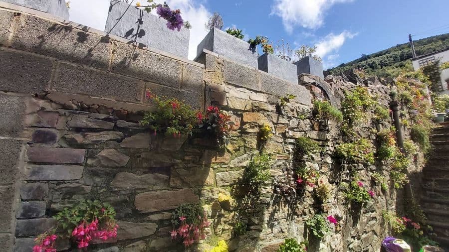 living stone wall vertical garden 