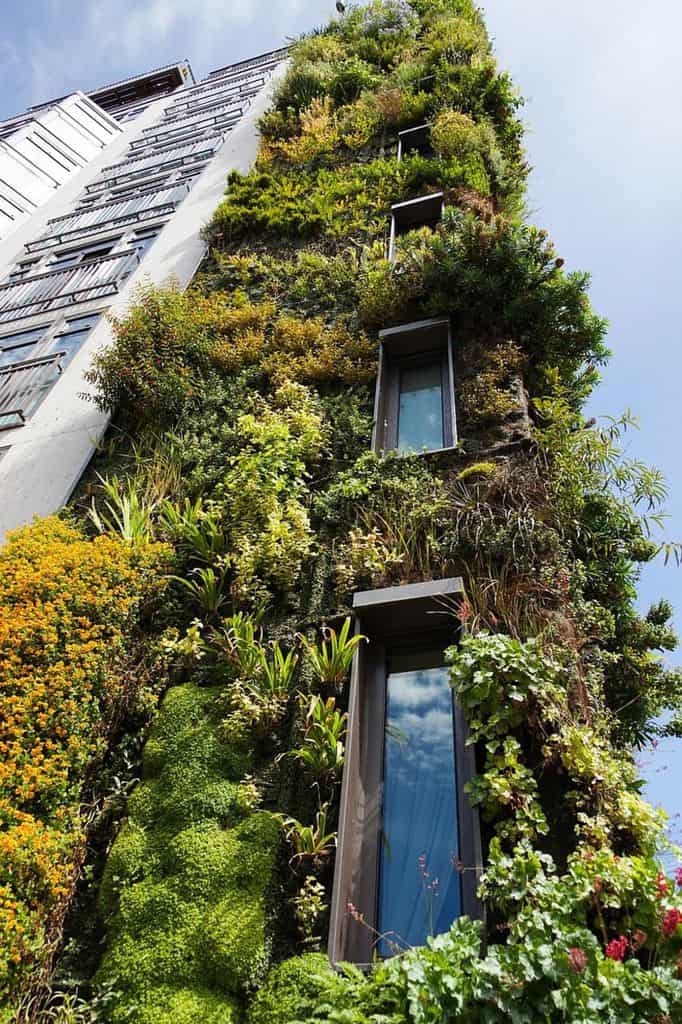 living wall vertical apartment building garden 