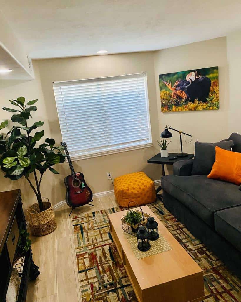 small basement living room 