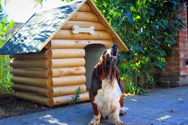 Log Cabin Dog House Ideas