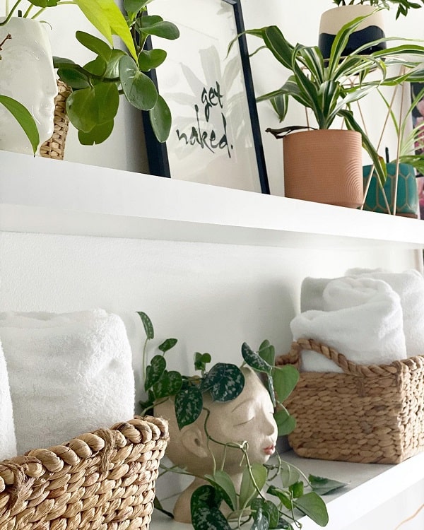 plants on towel storage shelf 