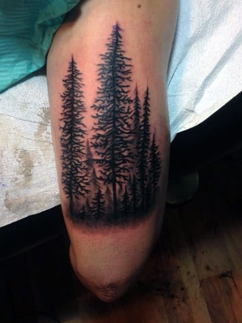 Lower Leg Pine Tree Tattoo For Men