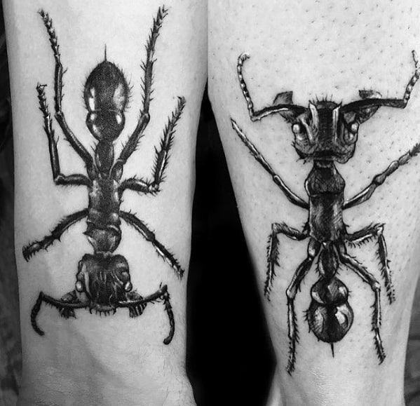 Lower Leg Realistic 3d Ant Tattoo Ideas For Males