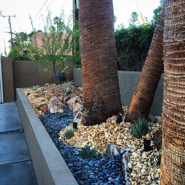 garden bed with colored stones palm trees lights 