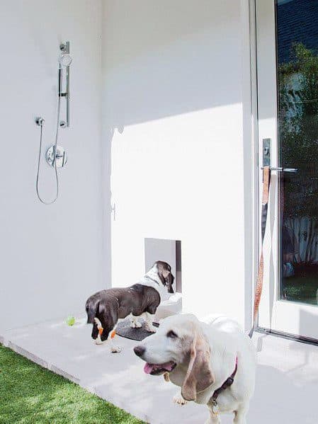 Designer clearance dog doors