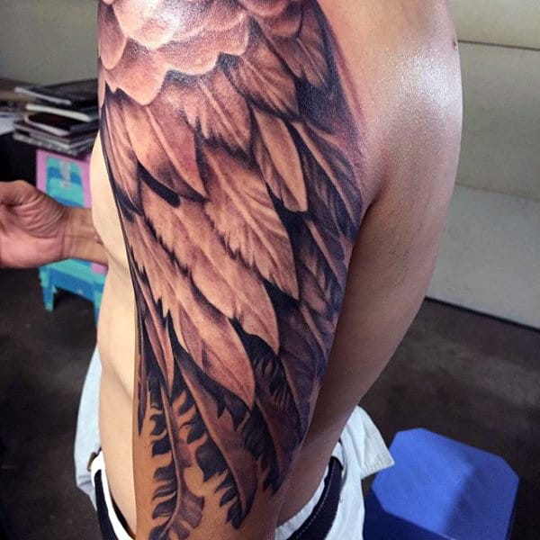 Majestic Brown Feather Tattoo On Upper Arms For Males