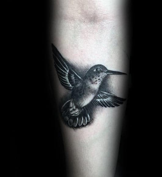 Black and Gray Hummingbird Tattoo Idea
