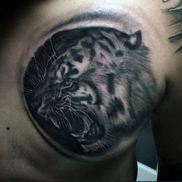Male Black And White Tiger Tattoo On Chest