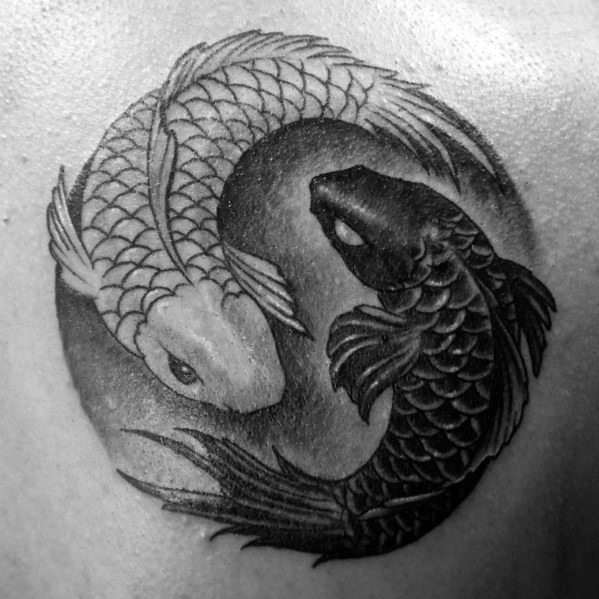Male Chest Black And Grey Ink Tattoo With Yin Yang Koi Fish Design