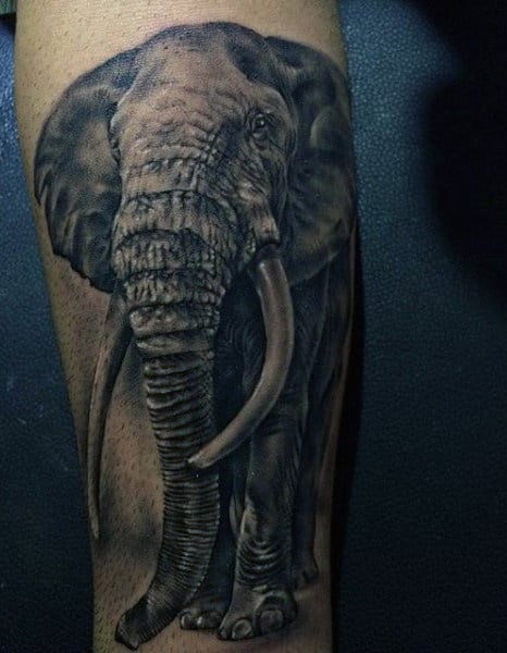 Male Forearms Grim Elephant Tattoo