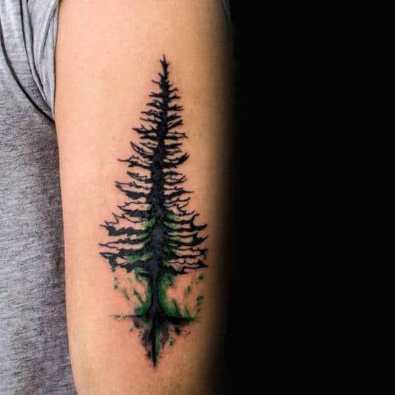 Male Forearms Watercolor Tree Pine Tattoo