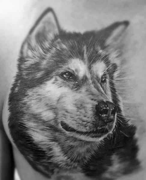 Male Siberian Husky Tattoos On Chest