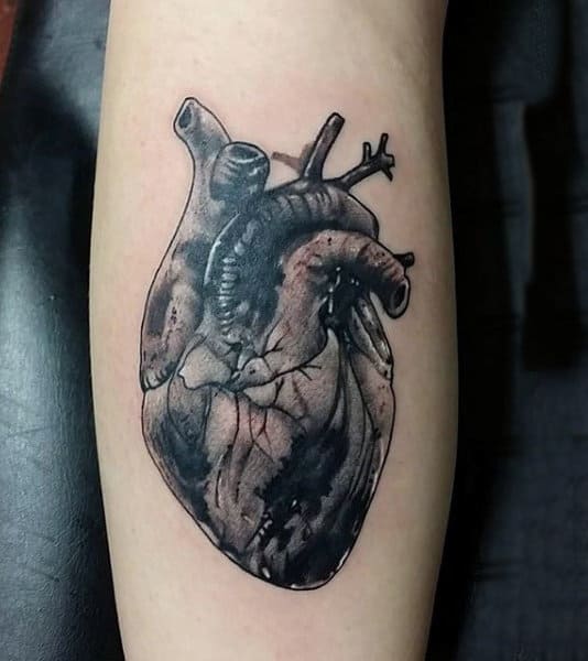 110+ Best Anatomical Heart Tattoo Designs & Meanings - (2019)