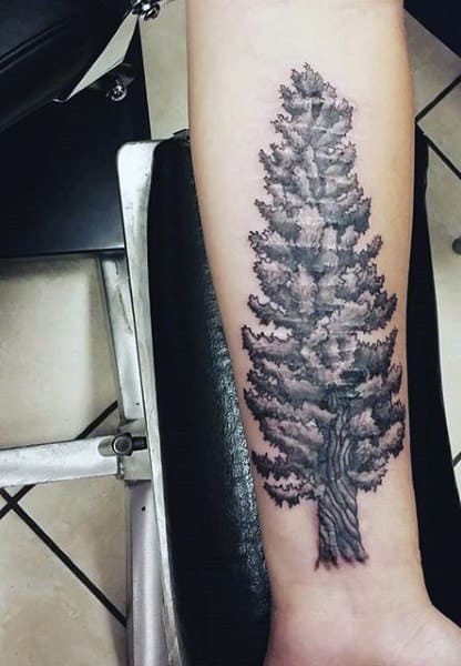 Male With Pine Tree Tattoo On Inner Forearm
