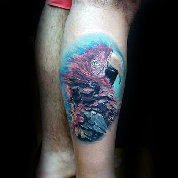 Manly Parrot Tattoo Design Ideas For Men Leg Calf