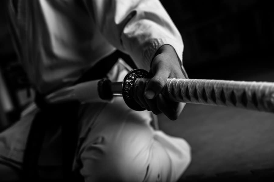 martial arts fighter with katana